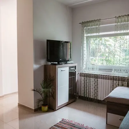 Apartment Apartman Didovic Matulji